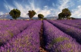 Grand France From Paris To Cote D'azur with Extended Stay In Provence